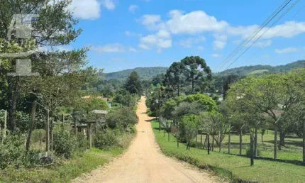 Terreno plano ótima localização próximo rest evíssima lamenha grande almirante tamandaré.