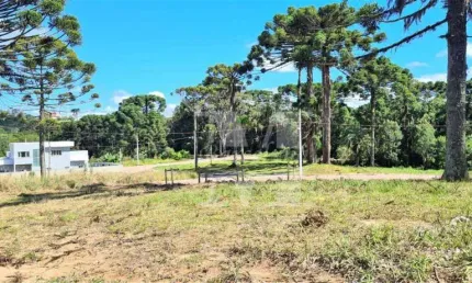 TERRENO EM QUATRO BARRAS.PERFEITO PARA SEU PROJETO PRÓXIMO DA NATUREZA ÁREA DE LAZER BOSQUE ECOPARK