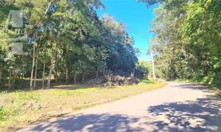 Terreno em morretes com 48m² de testada há minutos da br 277 estuda permuta por carro.