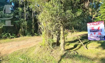 Lindo terreno em morretes, plano, com uma testada de 28m² rua asfaltada á minutos da br 277 documentado.