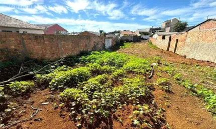 Terreno plano, limpo, região de prédios, bairro iguaçu - fazenda rio grande