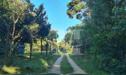 CHÁCARA EM CAMPO LARGO ESTRADA ITAMBÉ 3 CASAS RIO 2 NASCENTES.