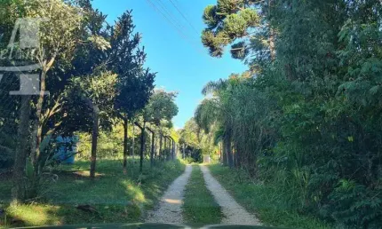 Chácara em campo largo estrada itambé 3 casas rio 2 nascentes.