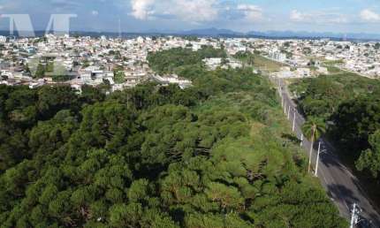 TERRENO PERFEITO PARA CONDOMÍNIO DE APTOS MINHA CASA MINHA VIDA.  EXCELENTE LOCALIZAÇÃO DO BAIRRO SÃO GABRIEL EM COLOMBO.