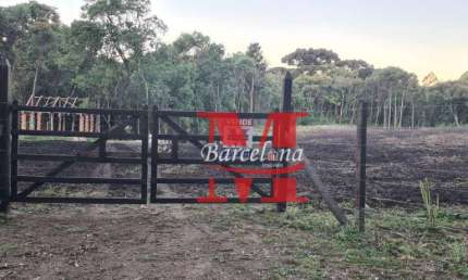TERRENO CHÁCARA CAMPO LARGO INDUSTRIAL 18 MIL M2 ÓTIMA LOCALIZAÇÃO