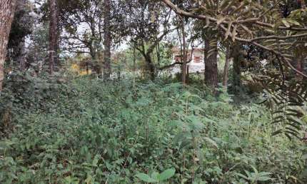 TERRENO DE ESQUINA - 586,2 m² - Bairro gramado -  Cotia/SP