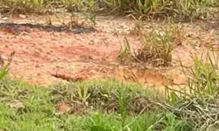 Terreno à venda na Rua Doutor Ladislau Reti, Parque Alexandre, Cotia