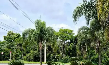 Terreno à venda na Avenida Nicodemos de Carvalho, Parque Dom Henrique, Cotia