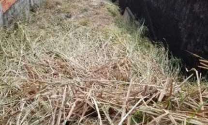 Terreno à venda na Rua Nogam, Jardim Leonor, Cotia