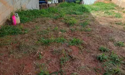 Terreno à venda na Rua Mirante da Mata, Parque Mirante da Mata, Cotia