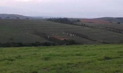 Fazenda com 3 salas à venda na zona rural, tapira , 500 m2 por r$ 18.000.000