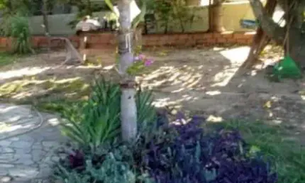 Chácara / sítio com 3 quartos à venda na Zona Rural, Conchas , 162 m2 por R$ 250.000