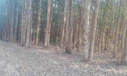 Terreno à venda no Tanquã, São Pedro , 18000 m2 por R$ 505.000