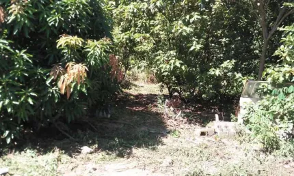 Terreno à venda no pau queimado, piracicaba , 1600 m2 por r$ 240.000