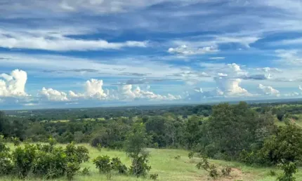 Fazenda com 2 salas à venda na Zona Rural, Aliança do Tocantins , 500 m2 por R$ 28.000.000