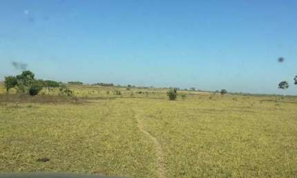 Fazenda à venda na Zona Rural, Duerê , 500 m2 por R$ 20.000.000