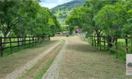 Fazenda com 5 salas à venda no Centro, Campanha , 2000 m2 por R$ 28.036.000