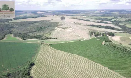 Fazenda com 5 salas à venda na Zona Rural, Perdizes , 2000 m2 por R$ 15.000.000