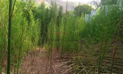 Terreno à venda na Rua Barão, Praça Seca, Rio de Janeiro, 2478 m2 por R$ 460.000