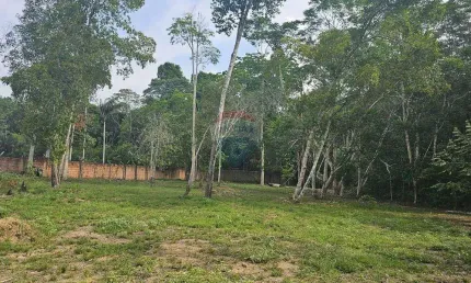 Terreno Exclusivo 21.383m²  Localizado no Bairro Tarumã  próximo ao Igarapé do Mariano: Oportunidade única!