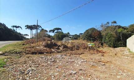 Terreno comercial para alugar na RUA ADMAR BERTOLLI, 7546, Jardim Marambaia, Almirante Tamandaré, 500 m2 por R$ 2.000