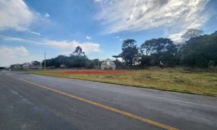 Terreno comercial para alugar na Rua Antônio Bizetto, 78, Vila Ferrari, Campo Largo, 683 m2 por R$ 1.000