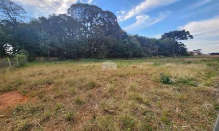 Terreno comercial para alugar na Rua Antônio Bizetto, 14, Vila Ferrari, Campo Largo, 682 m2 por R$ 1.000
