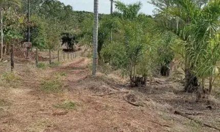 Terreno à venda, 22945 m² por R$ 420.000,00 - Distrito Maravilha - Londrina/PR