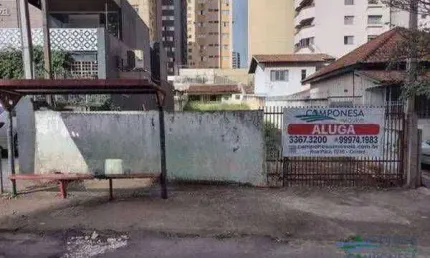 Terreno para alugar, 462 m² por R$ 4.000,00/mês - Centro - Londrina/PR