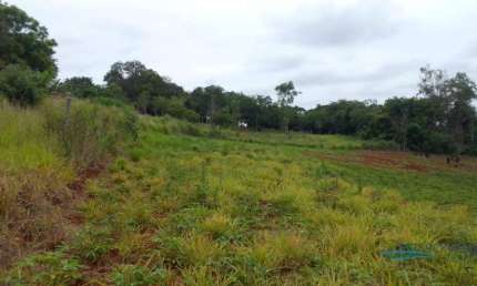 Terreno à venda, 2000 m² por R$ 300.000,00 - Cafezal - Londrina/PR