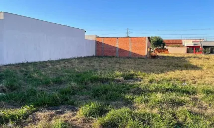 Terreno à venda, 250 m² por R$ 120.000,00 - Vila Nova - Rolândia/PR