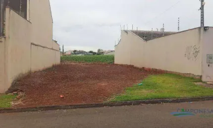 Terreno à venda, 250 m² por R$ 320.000,00 - Parque Residencial João Piza - Londrina/PR