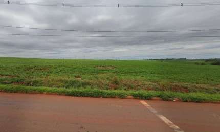 Terreno à venda Av. Saul Elkind, 242000 m² por R$ 19.360.000 - Perobinha - Londrina/PR