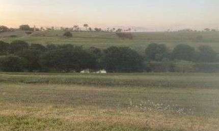 Terreno à venda, 2300 m² por R$ 550.000,00 - Rodovia - Sertanópolis/PR