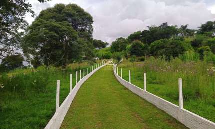 Chácara / sítio com 3 quartos à venda na Estrada Itambezinho, 1, São João do Povinho, Campo Largo por R$ 599.000