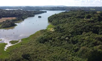 Chácara / sítio com 1 quarto à venda na Rua Theodoro Fila, 1, Colônia Cristina, Araucária por R$ 1.100.000