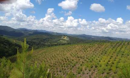 Chácara / sítio com 1 quarto à venda na Estrada Rural, 1, Centro, Campo Magro por R$ 2.500.000
