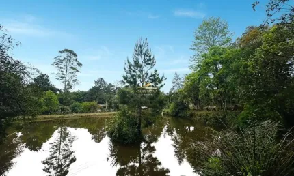 Chácara / sítio com 2 quartos à venda na br-376, 2, jardim bela vista, campo largo por r$ 880.000