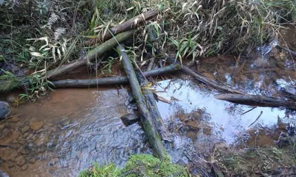 Chácara / sítio com 1 quarto à venda na estrada itambezinho, 5, são joão do povinho, campo largo por r$ 700.000