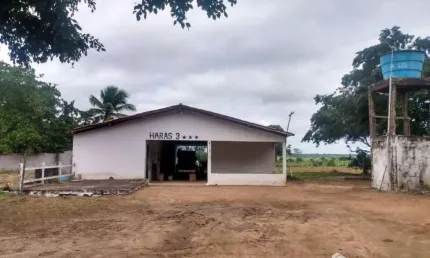 Chácara com 3 dormitórios à venda, 91476 m² por R$ 980.000 - Asa Branca - Feira de Santana/BA
