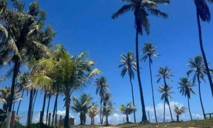 Terreno em Villas do Atlântico a 50 metros da praia em Alameda