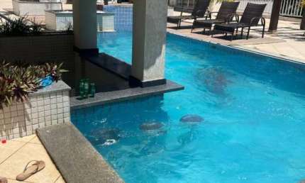 Apartamento á Venda com 2/4, sendo 1 suítes no Condomínio  Jardim.