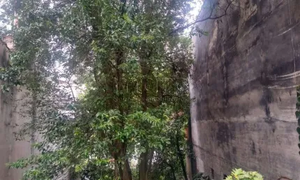 Terreno à venda na rua rodrigo cláudio, aclimação, são paulo, 320 m2 por r$ 4.300.000