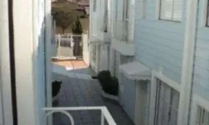 Casa em condomínio fechado com 3 quartos à venda na rua dos caciques, 273, vila da saúde, são paulo por r$ 930.000