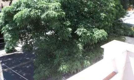 Casa com 3 quartos à venda na rua salvador corrêa, 164, aclimação, são paulo, 186 m2 por r$ 1.700.000