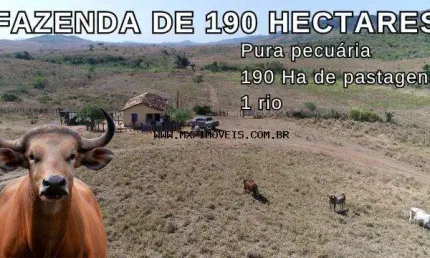 Fazenda à venda na Zona Rural, Ibicuí 