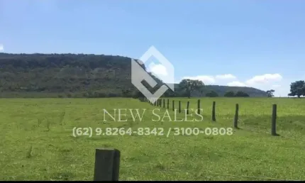 Fazenda na região de Quirinópolis-GO! 43 Alqueires!