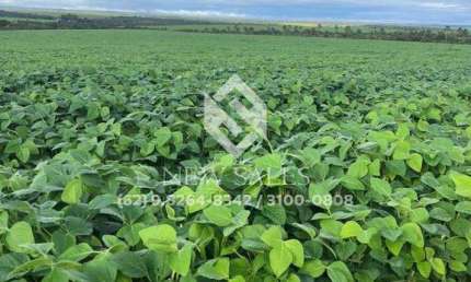 Fazenda de Oportunidade em Jataí-GO! 80 Alqueires !
