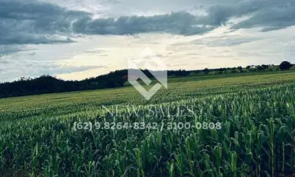 Fazenda na região de Araguaína-TO! 822 Hectares! OPORTUNIDADE DE MERCADO