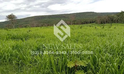 Fazenda à venda em Pontal do Araguaia-MT! 100 Alqueires!